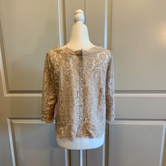 Joie Lace Top! - Picture 4 of 8